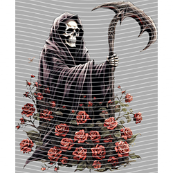 Halloween-WS 9531